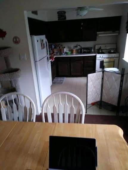 Dining Room / Kitchen. - 11 Harbour Ln