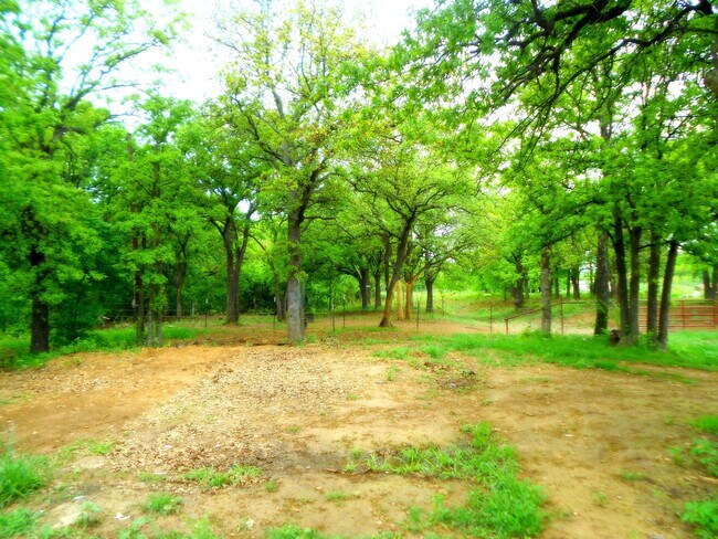 Foto del edificio - Cute and Cozy Country Charmer on 1 Acre wi...
