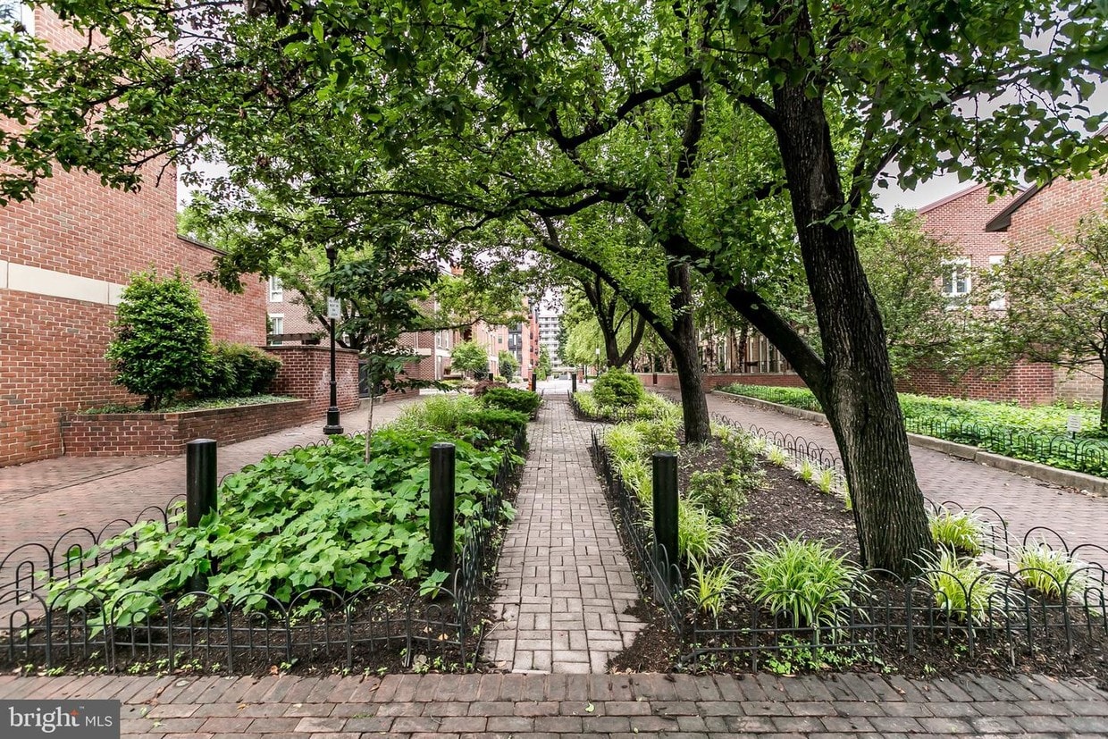 17 W Hill St, Baltimore, MD 21230 Townhome Rentals in Baltimore MD