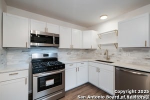 Building Photo - 217 Flintstone Ln