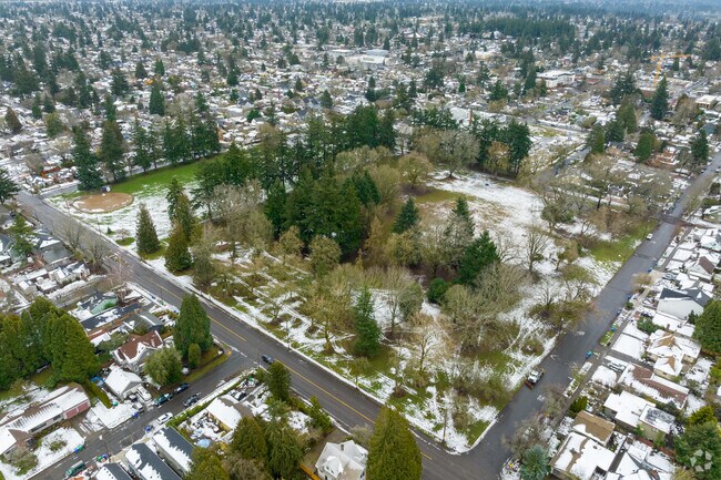 An overview of Woodstock Park.