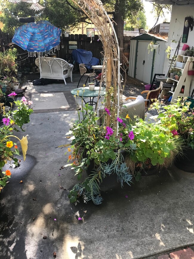 Backyard - 1405 Caroline