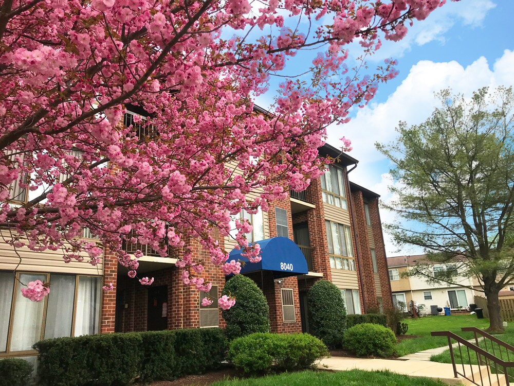 Foto principal - 8040 Needwood Rd