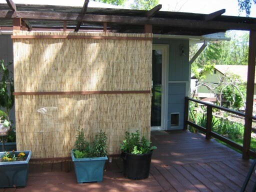 Foto del edificio - Comfy Studio for Rent