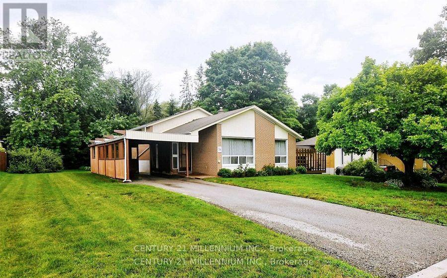 Primary Photo - 34 Seaton Dr