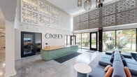 Located at 104 W Main St in Edmond, Oklahoma, this single-floor communal space serves as the welcoming hub of the Oxlley property. The grand entrance immediately impresses with soaring double-height ceilings adorned with striking decorative perforated wall panels that allow light to play throughout the space. The polished concrete floors extend seamlessly across the entire area, lending a clean, modern aesthetic.

At the heart of the entrance is a sculptural sage-green reception desk with a warm wood countertop, prominently displaying the Oxlley branding. Floor-to-ceiling glass doors and windows flood the space with natural light while offering direct views of the landscaped courtyard and surrounding property.

The lounge area features contemporary modular seating in cool grey and blue tones, accented with pops of orange and green, creating an inviting gathering environment. Stylish cage-style pendant lighting hangs overhead, complementing the industrial-modern design language.

The kitchen and living room area showcases a substantial sage-green island with a dark countertop, bar seating, and a full complement of appliances including a coffee station and refrigerator. Elegant drum pendant lights illuminate this social hub. A built-in bench seating area with green cushions and vertical wood slat partitions provides a quieter lounge nook, while an arched golden doorway adds a warm, decorative accent throughout.