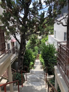 Foto del edificio - 815 Levering Ave