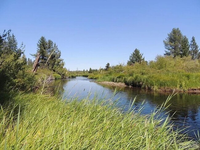 Building Photo - Adorable Cabin on the River