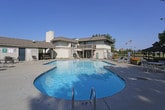 This inviting outdoor amenity space centers around a generously sized swimming pool with crystal-clear blue water, designed to accommodate both leisurely swims and relaxed sunbathing. The surrounding concrete sun deck is outfitted with multiple white lounge chairs and patio seating, providing ample space for guests to unwind under open skies. A classic wooden gazebo sits toward the rear of the enclosure, offering a shaded retreat and a charming focal point within the space. The entire area is enclosed by a sturdy wrought iron fence, ensuring both security and an unobstructed view of the well-maintained green lawns and mature trees that border the property. Colorful seasonal plantings add touches of warmth and visual interest throughout the deck area. An adjacent two-story building with a balcony and covered entryway is directly accessible from the pool area, suggesting the presence of additional facilities nearby. Flags are visible beyond the fencing, lending a sense of community to the setting. The overall ambiance is bright, open, and welcoming, with abundant natural light and a clean, well-kept aesthetic that makes this outdoor space ideal for warm-weather relaxation and recreation.