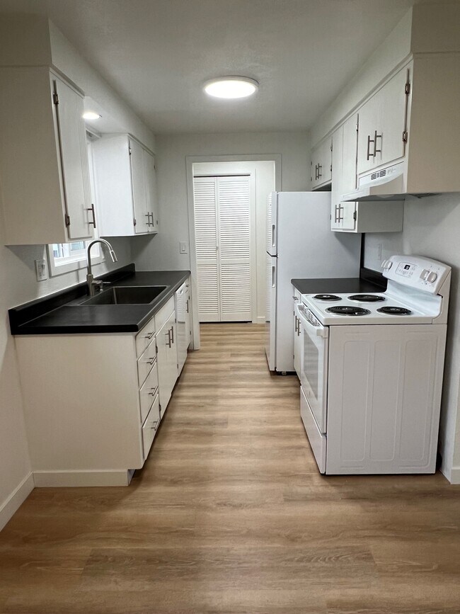 Fully updated kitchen w/new appliances - 490 Lindley Ln