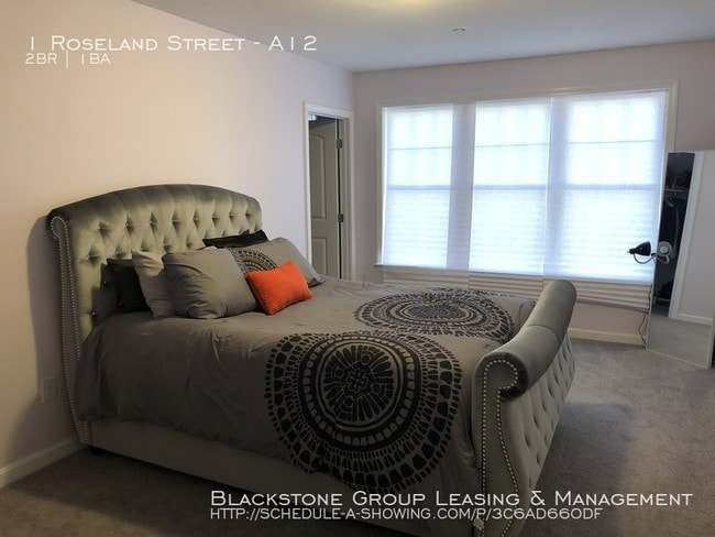 Building Photo - 1 Roseland Street