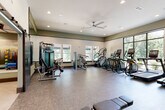 This fitness center is designed to support a comprehensive workout experience across several distinct zones within a single floor. The main exercise area is generously proportioned, featuring durable carpet-tile flooring and recessed lighting complemented by ceiling fans that help maintain air circulation throughout. Large floor-to-ceiling windows line the walls, flooding the space with natural light and offering serene views of surrounding mature trees, creating an energizing atmosphere for cardio workouts. This section houses a full row of treadmills, elliptical machines, stair climbers, and additional cardio equipment, all positioned to take advantage of the outdoor scenery.

A dedicated strength training zone features a variety of cable and resistance machines, free-weight benches, and a tiered dumbbell rack, providing ample options for resistance-based training. Full-length mirrors are strategically placed to assist with form and visually expand the space.

A separate studio room, accessible via a sliding barn-style door, is distinguished by its high ceilings, wood-accent wall paneling, and a nature-themed mural as a backdrop. This room is equipped with stability balls, resistance accessories, and a wall-mounted television, making it suitable for group classes or individual functional training sessions. The overall design balances a modern, clean aesthetic with a natural, calming ambiance.