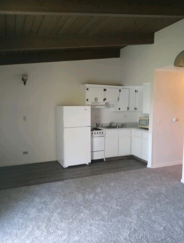 1 Bedroom Apartment with Garage - 200 S Lincoln