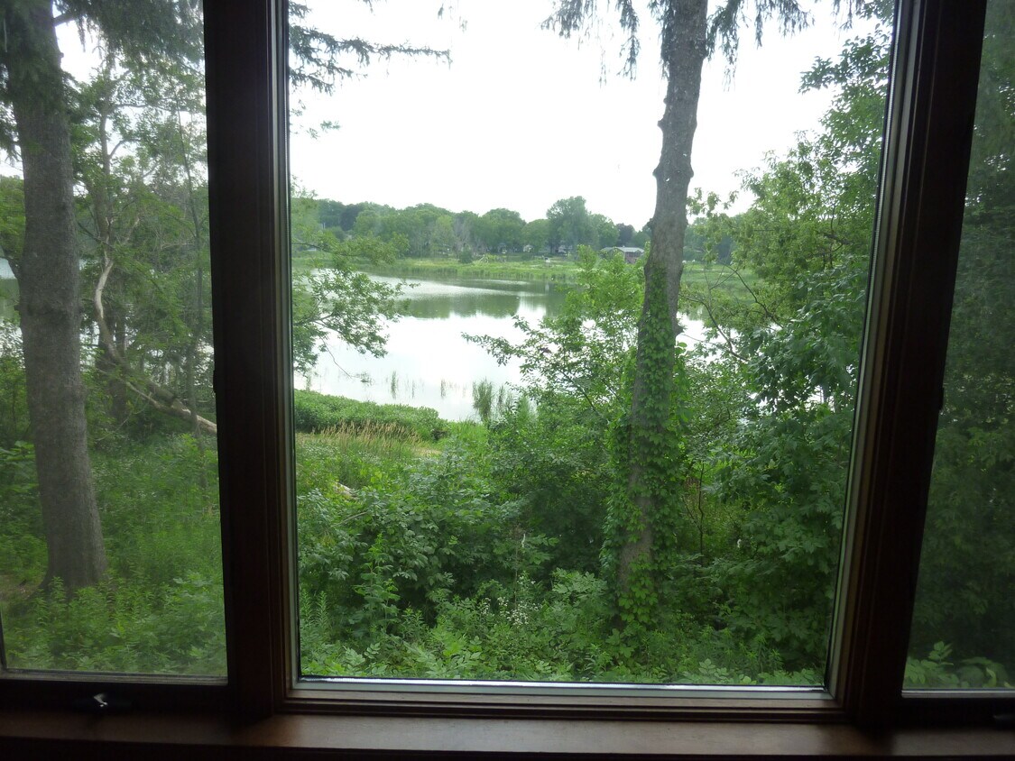 Vista desde la sala de estar - 7121 Park Shores Ct