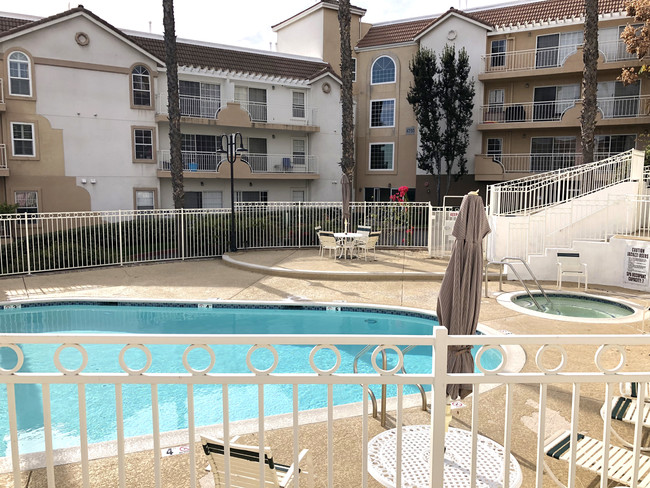 Pool view - 4755 Templeton St