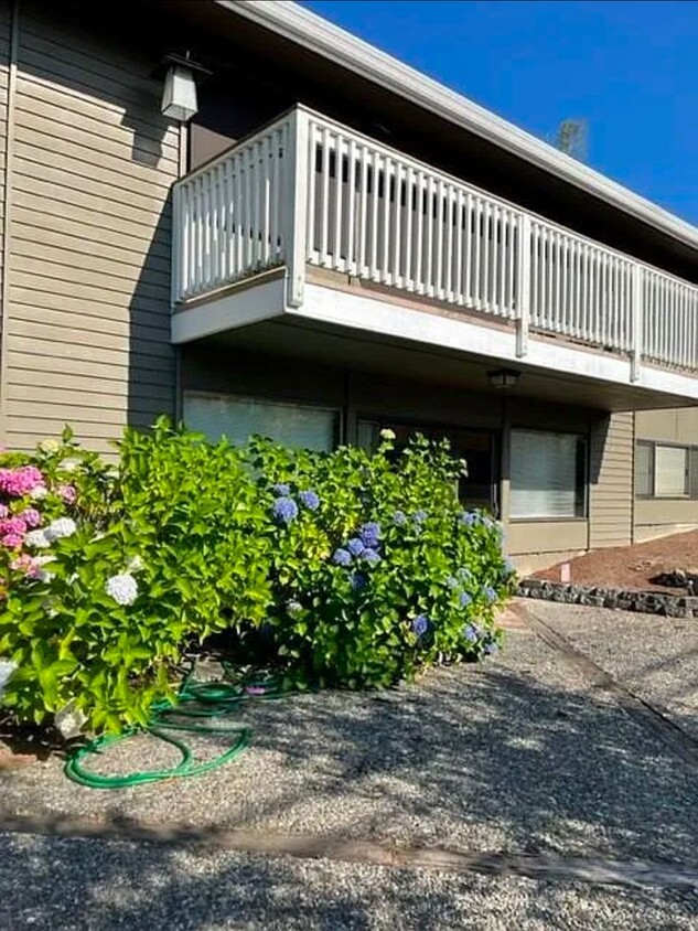 Primary Photo - 2 bedroom 1 bath daylight basement unit in...