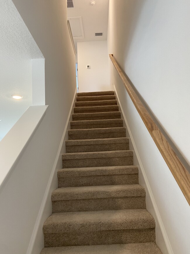 8748 Daybreak St, Sarasota, FL 34241 Townhome Rentals in Sarasota FL