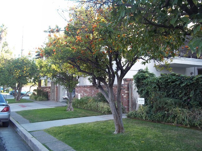 Foto del edificio - 5929 Laurel Canyon Blvd