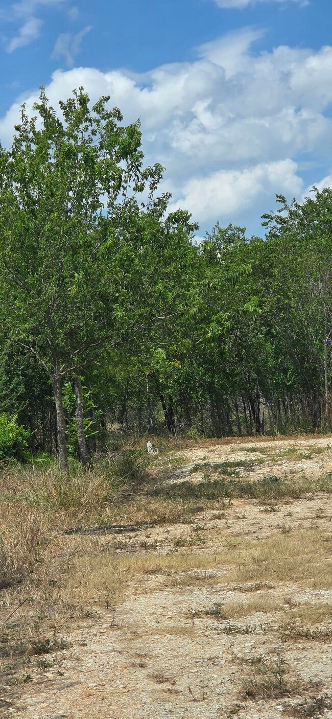Photo - 8279 Green Valley Rd (Marion, TX) House