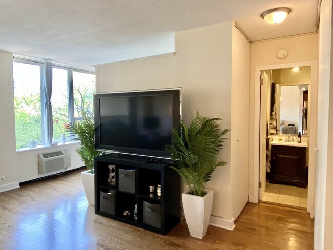 Foto del edificio - 1360 N Sandburg Terrace