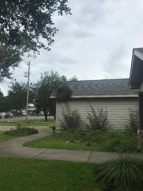 Building Photo - 8072 San Pedro Plaza