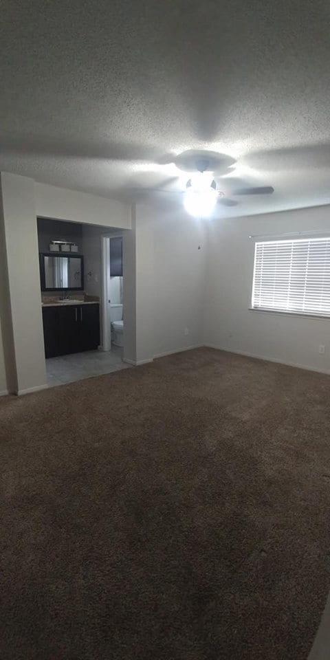 Building Photo - 3213 Honeysuckle Dr