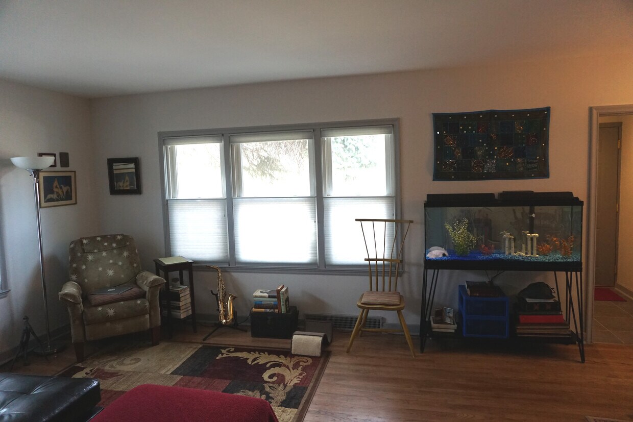 The living room space includes four large windows for plenty of natural light. - 920 Morehead Street