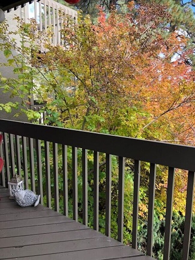 Foto del edificio - COMING IN JULY! 1-Bedroom Condo in Country...