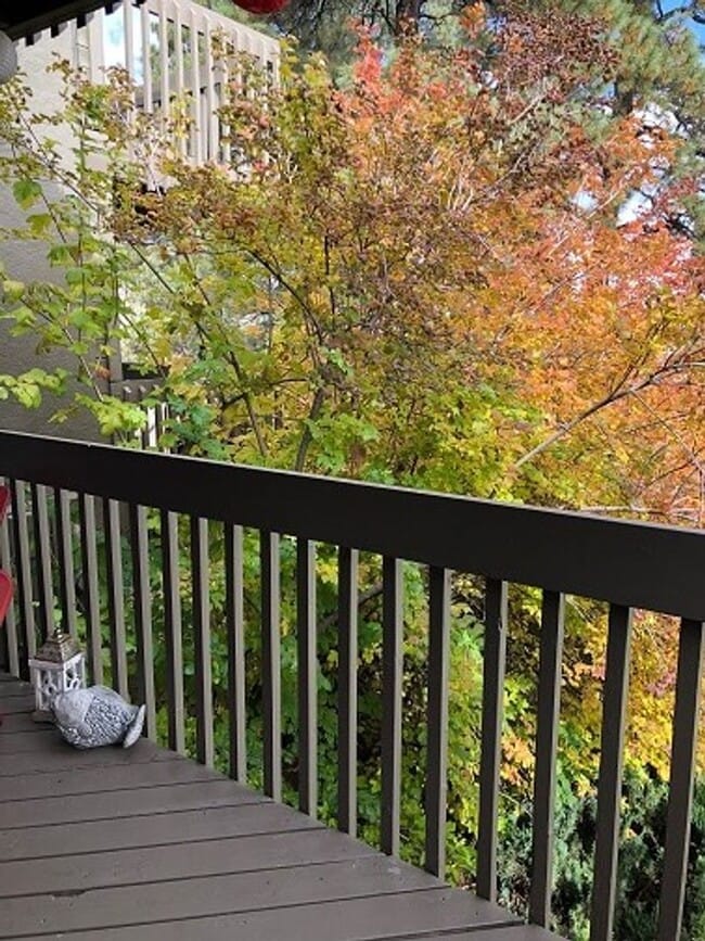Building Photo - COMING IN JULY! 1-Bedroom Condo in Country...
