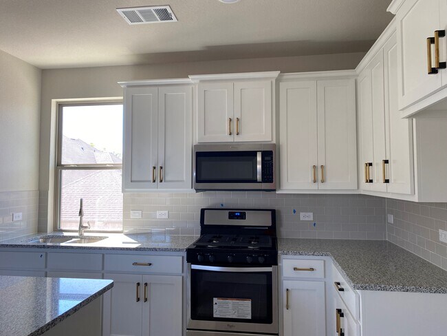 Building Photo - 4504 Sapphire Falls Way
