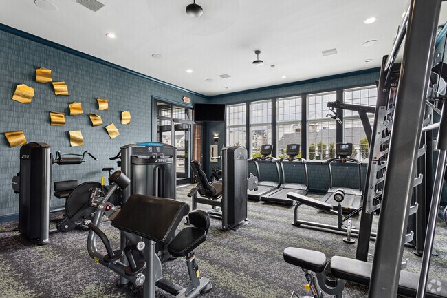 Gimnasio - Sheldon Park