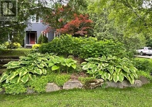 Building Photo - 516666 7 Line