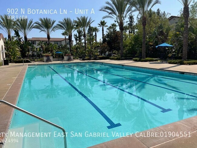 Foto del edificio - 902 Botanica Ln