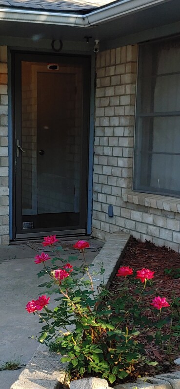 Foto del edificio - 1405 Ocotilla Dr