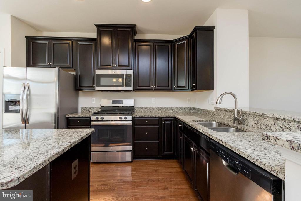 Primary Photo - 203 Freesia Ln