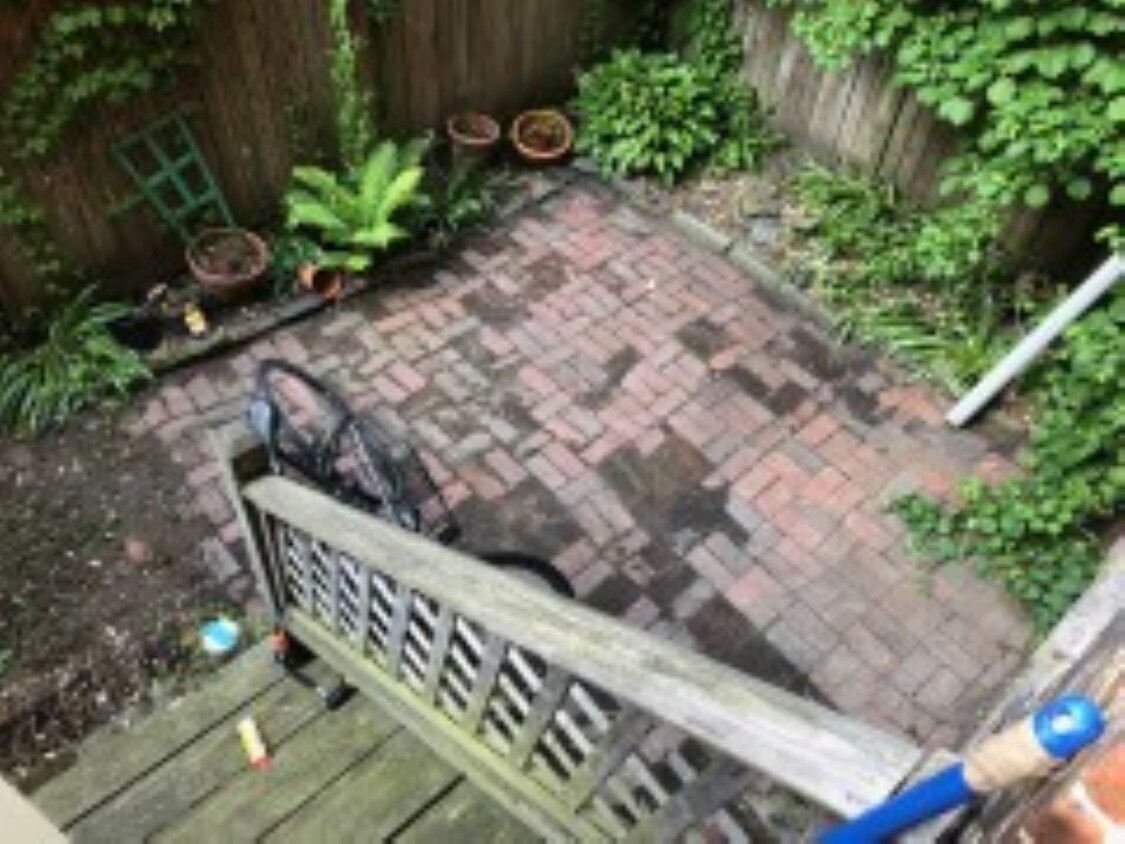 Primary Photo - 37 Gray St