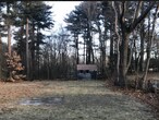 Back Yard - 17 Whitehorse Rd
