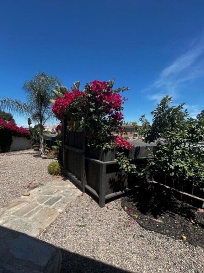 Building Photo - Cozy 2 Bed, 1 Bath *PLUS BONUS ROOM* Cotta...