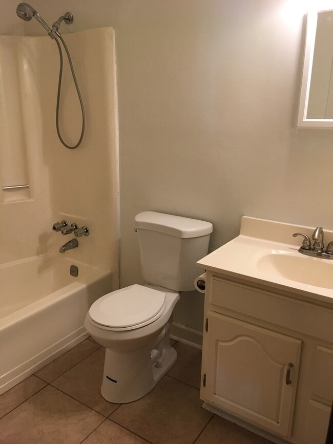 Hall bathroom - 107 Rockbridge Rd