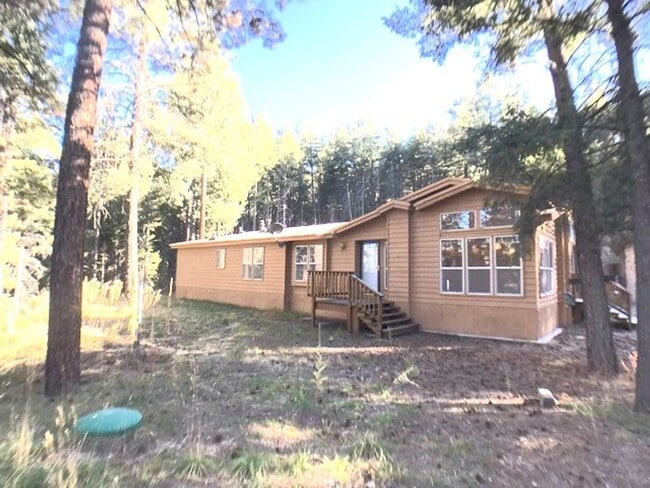 Building Photo - Jemez Mountains 3 bedroom with an open layout and large living areas and kitchen.