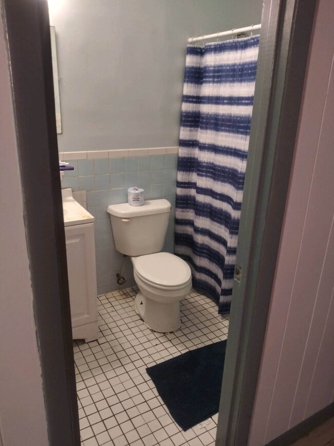 Typical bathroom - 1921 Avenue D