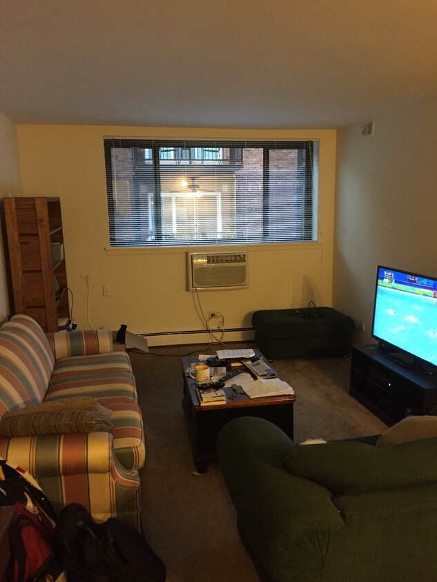 Living Room - 525 W Deming Pl
