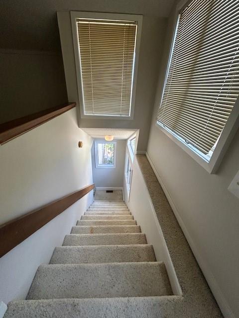 Building Photo - 254 Moss Oak Ln