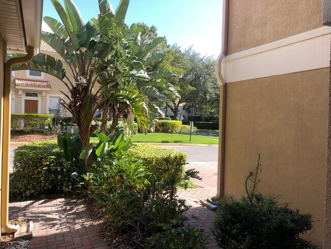 Puerta principal - 3602 Shallot Dr