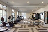 This single-floor fitness center is designed to offer a comprehensive workout experience in a bright, welcoming environment. The main exercise area is generously proportioned, featuring patterned multi-tone carpet tiles that lend a modern aesthetic throughout. Large arched windows and expansive floor-to-ceiling glass panels flood the space with natural light, offering views of the surrounding greenery and creating an open, airy atmosphere.

The cardio zone is well-stocked with a row of TRUE-brand treadmills, ellipticals, and stationary bikes, all positioned to take advantage of the natural light. Strength training is equally well-represented, with a cable machine, adjustable weight benches, free weights, battle ropes, and a punching bag available for varied workouts. A full-length mirrored wall along one side enhances the sense of space and supports form-focused training.

A glass-walled children's activity room is seamlessly integrated into the facility, allowing parents to exercise while keeping an eye on young ones at play. Ceiling fans and recessed lighting provide comfort and visibility throughout. The entry area includes a seating bench beside a large window, hand sanitizer station, and posted fitness rules, ensuring a clean and organized environment for all users.