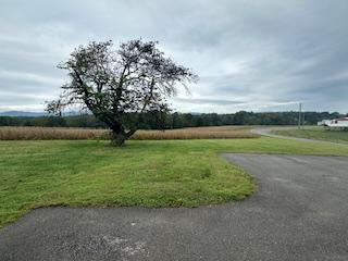 Building Photo - 5013 Bonbrook Mill Rd