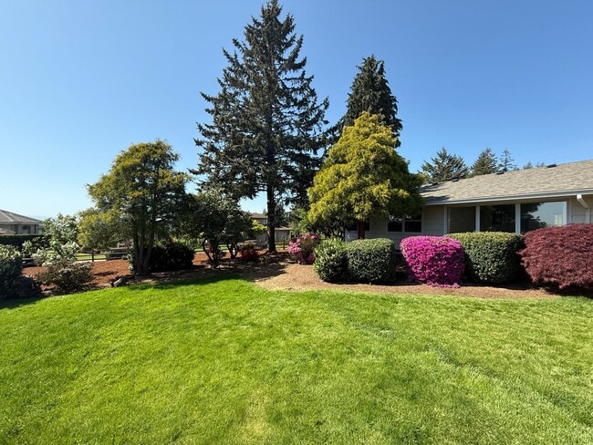 Building Photo - Spacious Yard and Home