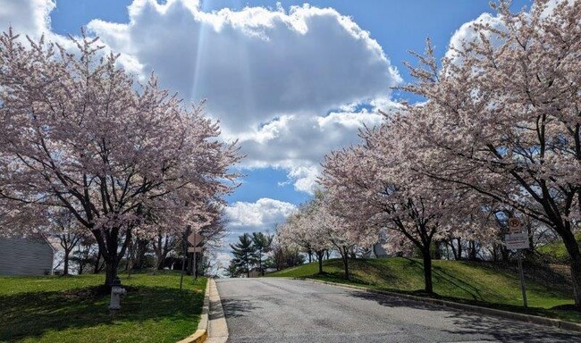 Foto del edificio - Stewartown Homes