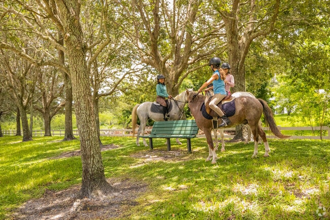 It's just you and your horse at Sunshine Ranches Equestrian Park in Sunshine Ranches, FL.