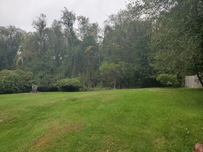 Backyard - 1043 Moon Run Rd